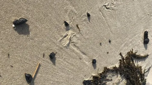 Des boulettes d’hydrocarbure retrouvées sur plusieurs plages du...